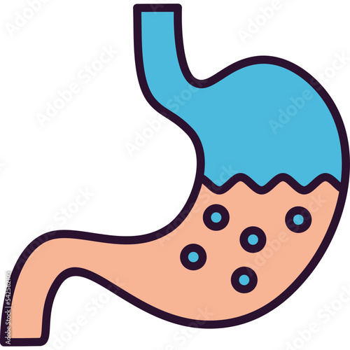Stomach Icon