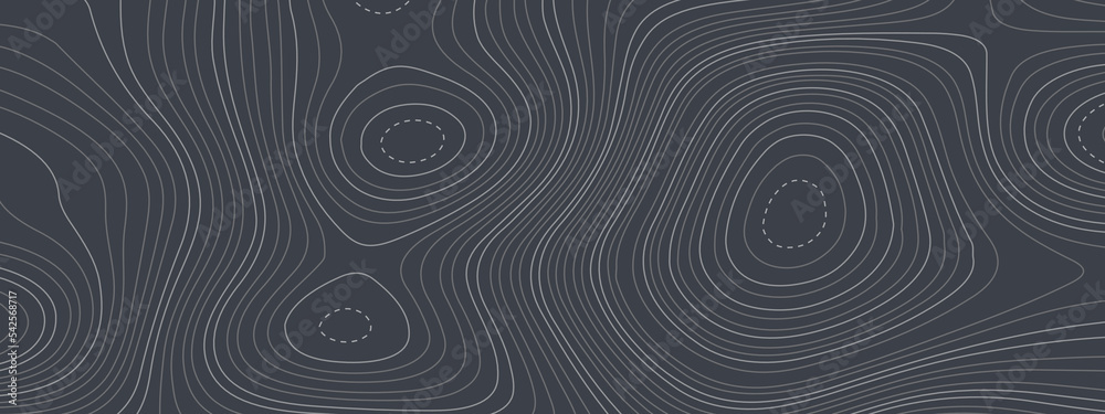 Black, white abstract topographic map with lines and circles background. Topographic map and place for texture. Topographic gradient linear background with copy space. Vector illustration. Black, white abstract topographic map with lines and circles background. Topographic map and place for texture. Topographic gradient linear background with copy space. Vector illustration.