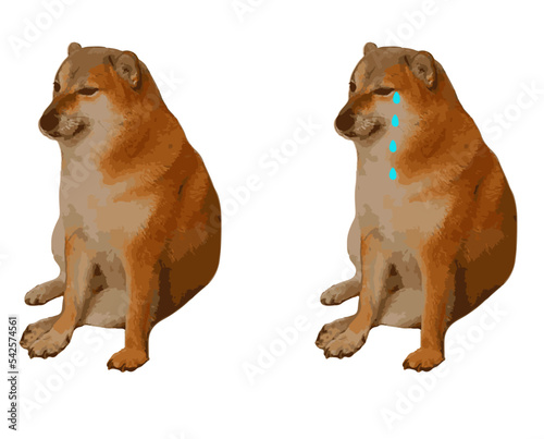 popular meme de internet perro chico llorando