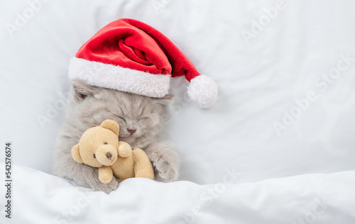 Cozy kitten wearing red santa hat sleeps under white blanket and hugs favorite toy bear. Empty space for text