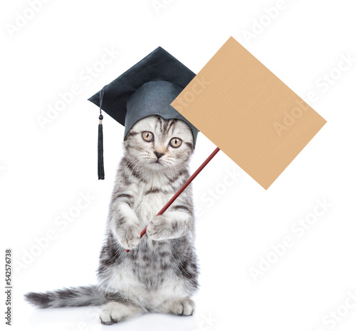 Graduated cat stands on hind legs and shows empty placard. Back to school concept. isolated on white background