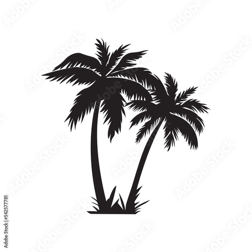 Palm tree vector icon isolated white background  double palm tree silhouette 