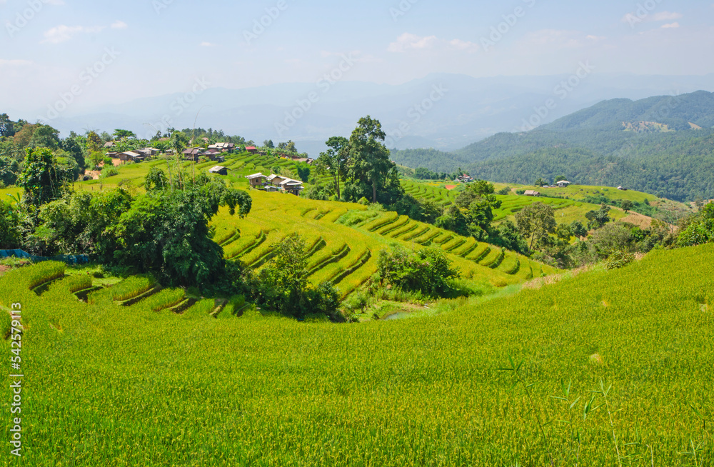 Tribal rice terrace and houses on the hill in the north of Thailand