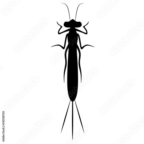 Vector mayfly on a white background. This animal can be found on the surface of the water. Perfect for animal logos and posters. silhouette