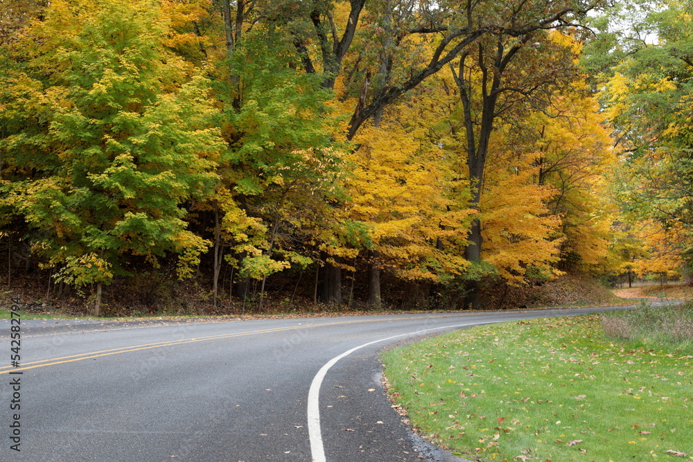 A curve in the road with trees in the fall season