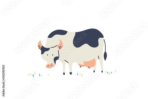 Lonely Cattle Cow
