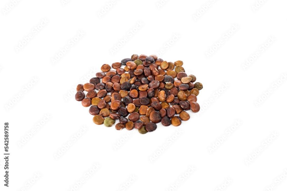 Seeds jicama isolated on white background. Pachyrhizus erosus,Mexican turnip,yam bean Seeds jicama isolated on white background. Pachyrhizus erosus,Mexican turnip,yam bean