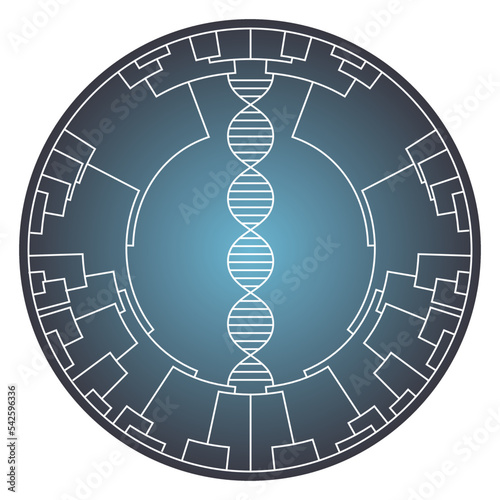 Phylogenetic tree science vector illustration graphic design