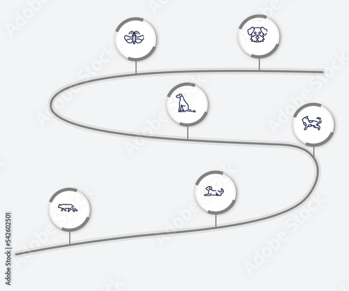 infographic element with dog and training outline icons. included dog moustache, null, pointer dog, toyger cat, snowshoe cat, lying vector.