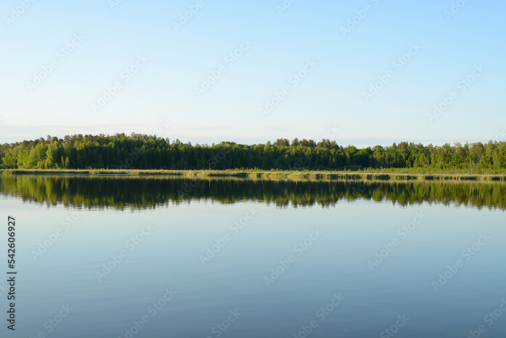 Forest lake, beautiful nature landscape, calm scene. Lake morning, panoramic view