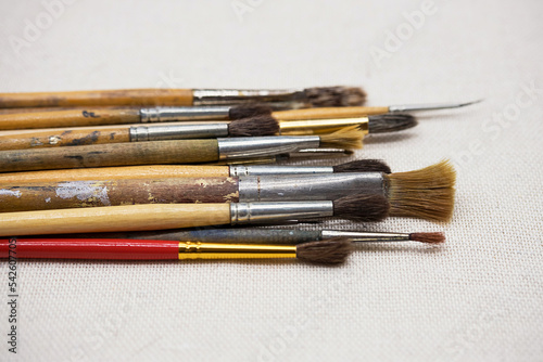 Paintbrushes. Artistic brushes still life.