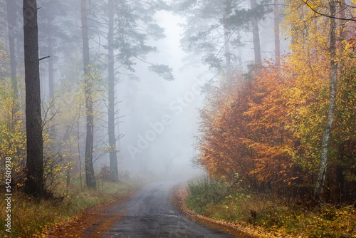 Fototapeta Naklejka Na Ścianę i Meble -  Jesienny poranek na Mazurach