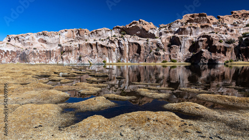 Volcano rock, pond reflection. Bolivia 