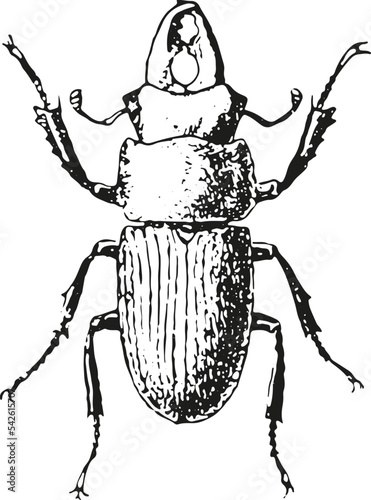 inspiring insect vector