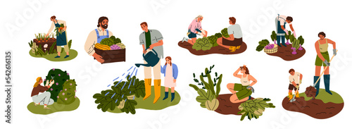 Farmers, gardeners during farm, garden works set. People, kid, agriculture workers care about plant, crop, picking vegetable at backyard. Flat graphic vector illustrations isolated on white background