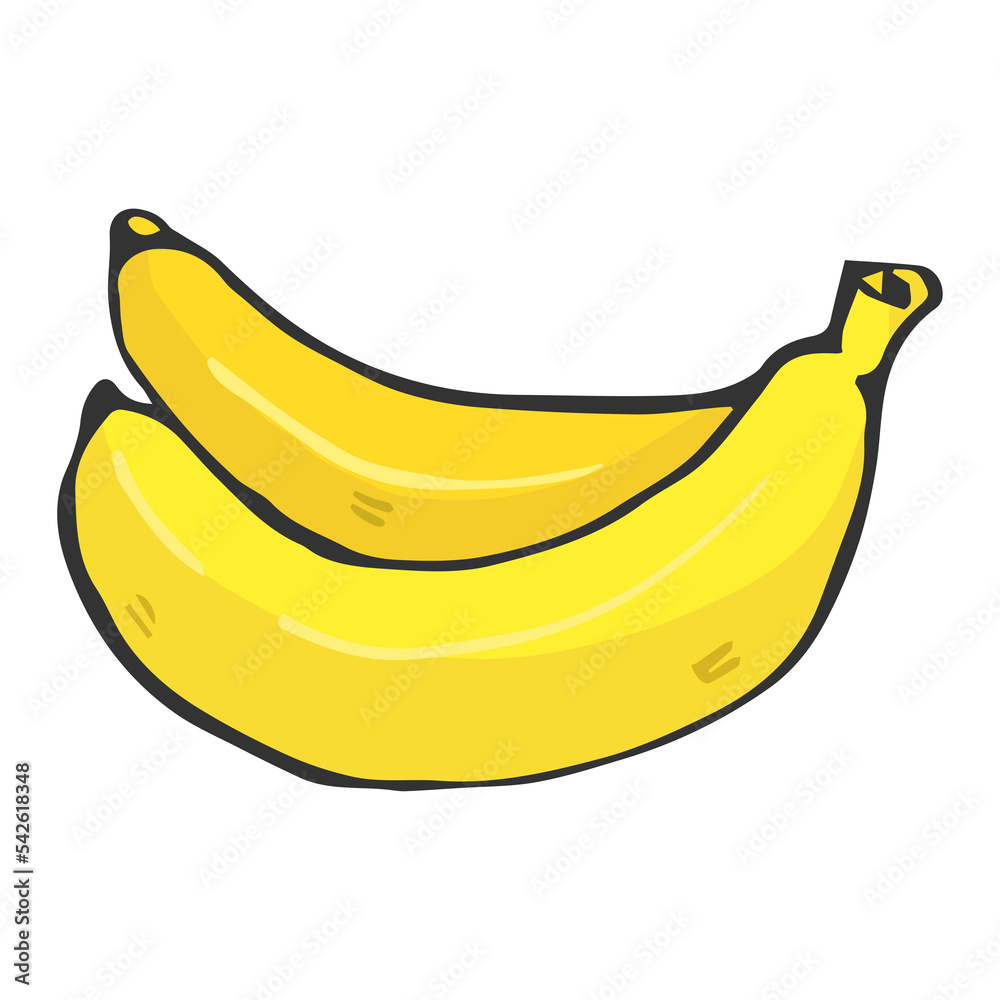 fresh banana fruit illustration