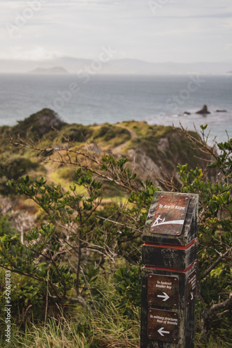 Te Ara O Kupe Sign in front of Wellington habour portrait