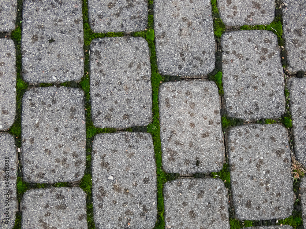 Obraz premium Close-up view of pavement with green moss between all bricks. Geometrical pattern outdoors in nature and city