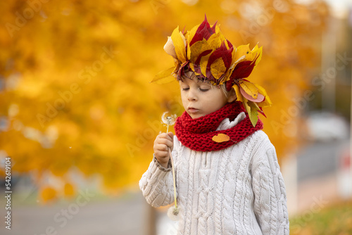 Adorable little child  blond boy with crown from leaves in park on autumn day.