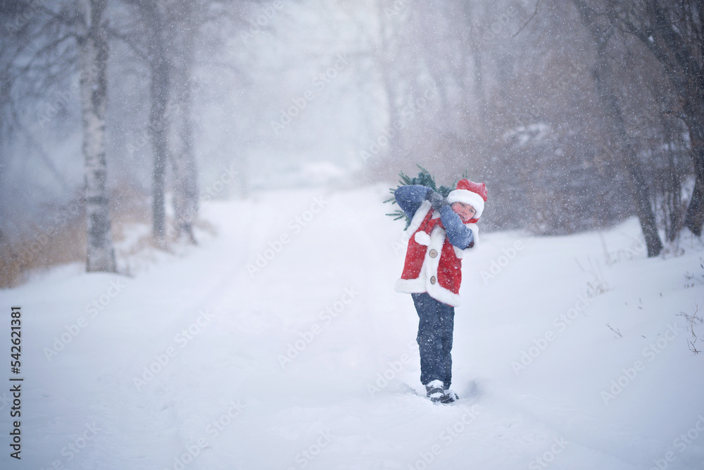 A child in a New Year's costume, in a snowfall carries a Christmas tree to Santa Claus. a New Year's tale.