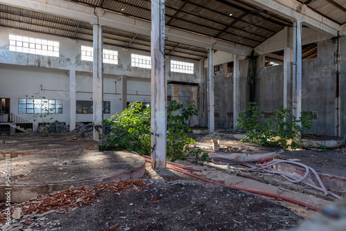 Interior view of a abandoned derelict factory building with plants growing inside.