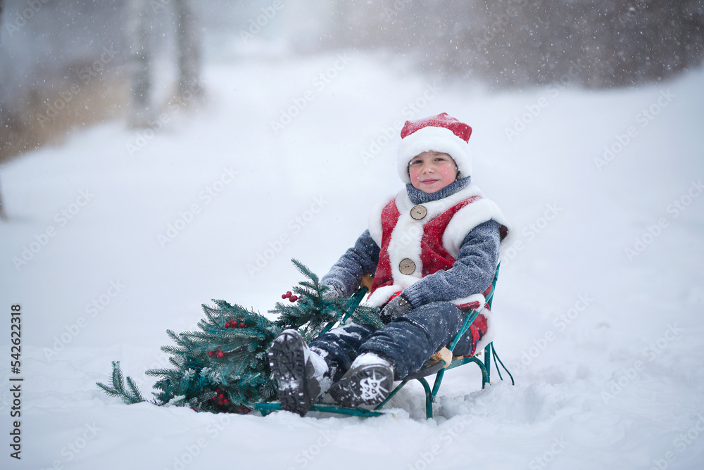 A child in a New Year's costume, in a snowfall carries a Christmas tree to Santa Claus. a New Year's tale.