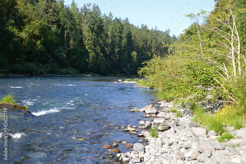 Landscape at the Umpqua River in the Cascade Range, Oregon photo