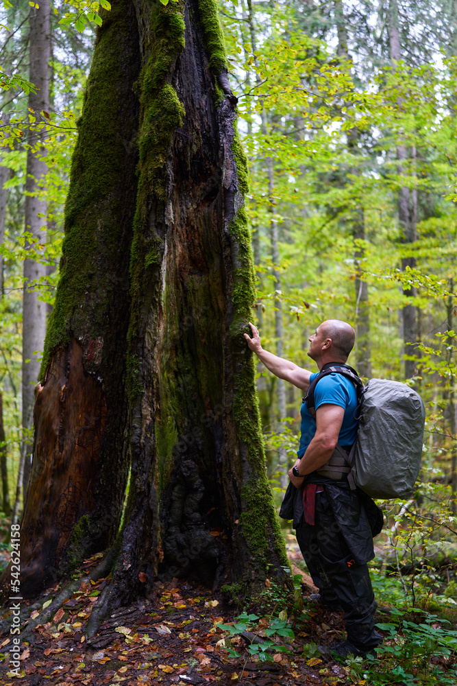Photographer with heavy backpack and camera in the forest Photographer with heavy backpack and camera in the forest