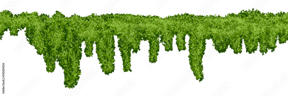 Horizontal endless swamp moss texture on white background. Top of fence or wall with climbing plants. Bush line. Forest lichen. Vector illustration Horizontal endless swamp moss texture on white background. Top of fence or wall with climbing plants. Bush line. Forest lichen. Vector illustration