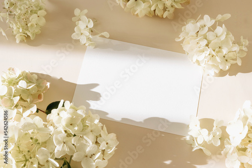 Invitation card mockup with hydrangea flowers on beige pastel background. Template blank of white paper mock up for branding and advertising. Top view  flat lay  copy space.