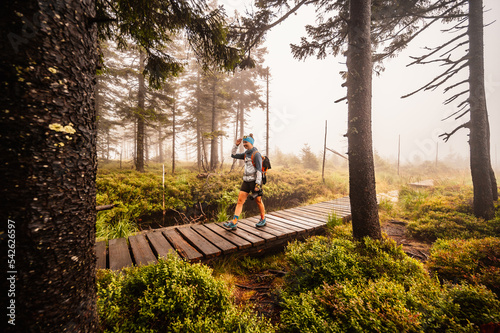 Mountain landscape in Jeseniky, view of the mountain range from the hiking trail on the top of small Jezernik from cernohorske saddle. A pathway for hikers through bog photo