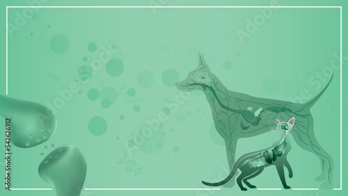 the dog and cat is pet endocannabinoid system work body and brain