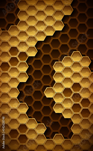 Honeycombs with honey. Vector illustration of cells with bee honey and a frame with empty cells. Sketch for creativity.