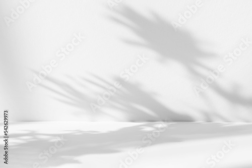 Blurred background. Abstract white studio background for product presentation. Empty room with shadows of window and flowers and palm leaves . 3d room with copy space. Summer concert.
