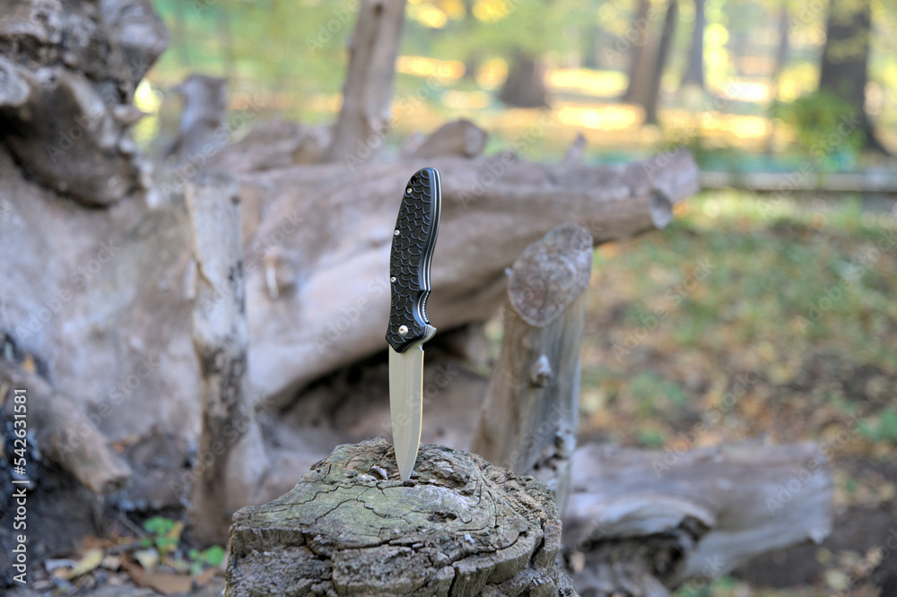 Beautiful outdoor nature dry stump folding knife nice design cutting stainless steel edge black handle macro background Beautiful outdoor nature dry stump folding knife nice design cutting stainless steel edge black handle macro background