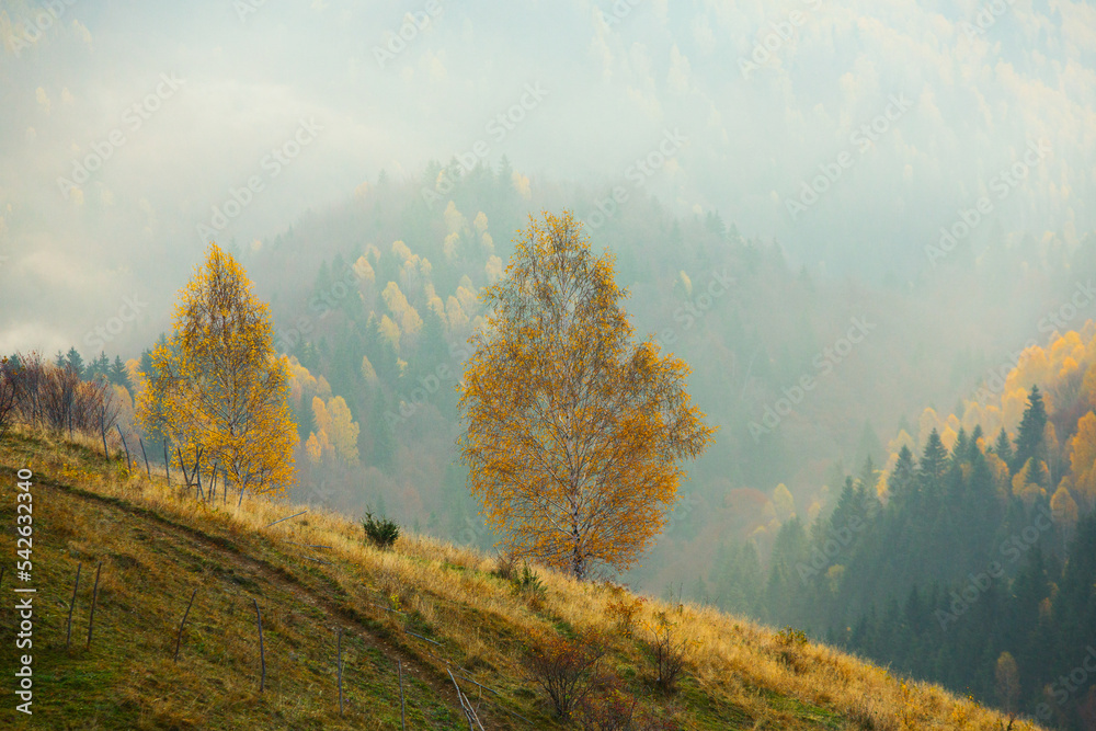 Fototapeta premium Colorful autumn landscape in the mountain village. Foggy morning in the Carpathian Mountains in Romania. Amazing nature.