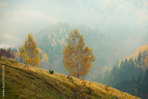 Colorful autumn landscape in the mountain village. Foggy morning in the Carpathian Mountains in Romania. Amazing nature.