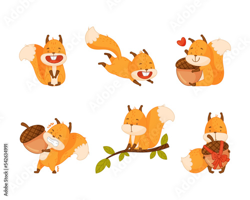 Cute red squirrel in different everyday activities set. Funny little forest animal carrying acorn, jumping, sitting on tree branch cartoon vector illustration