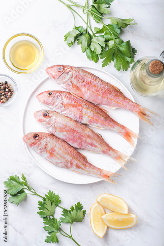 Fresh red mullet with recipe ingredients: olive oil, sea salt, parsley, lemon, herbs. White marble table photo