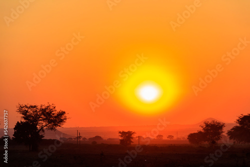 Beautiful african sunset over savannah in Tanzania © olyasolodenko