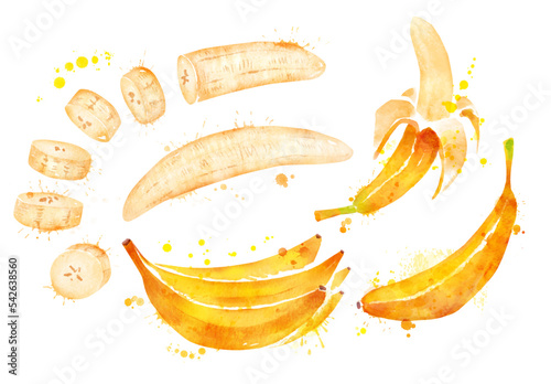 Watercolor isolated illustration of banana