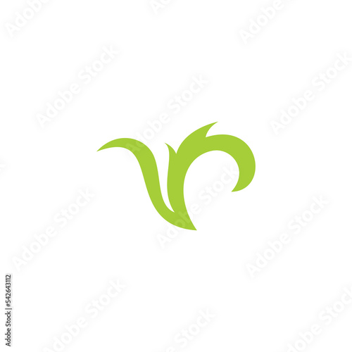 V Leaf Nature Logo Symbol © ansgrav