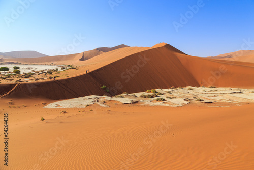 Amazing View from the dune to the salt pan of Sossusvlei, Namibia.