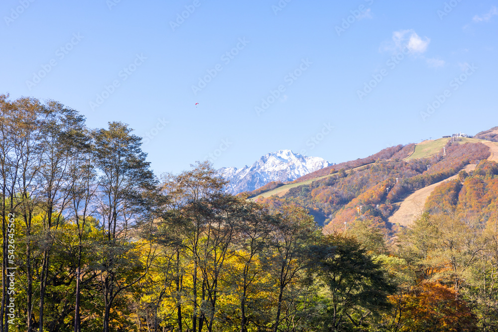 Naklejka premium 【長野県】秋の白馬大橋から北アルプスを望む