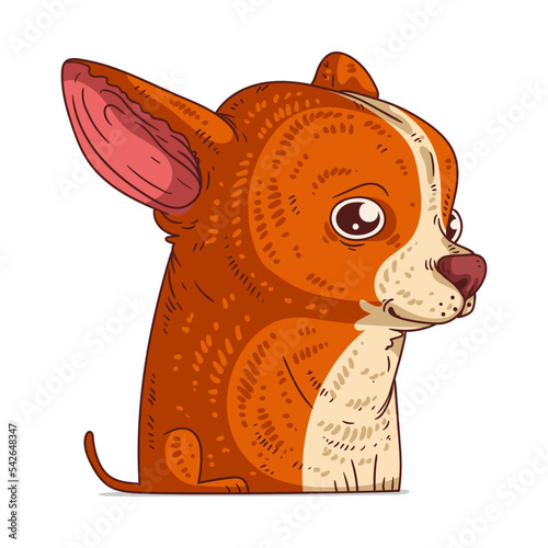 A Chihuahua, isolated vector illustration. Cute cartoon picture for children. A small amiable dog. Drawn animal sticker art. Simple drawing of a nice chihuahua on white background. A pet. A puppy.