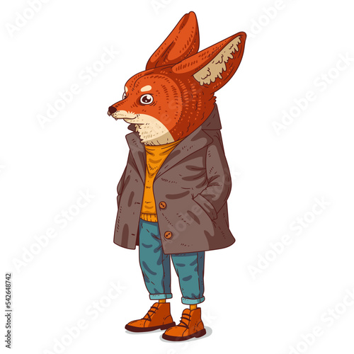 Cool Urban Guy, isolated vector illustration. A trendy dressed fox person. Animal art. A fennec with a human body in a casual outfit on white background. Drawn animal sticker. Calm fox character.