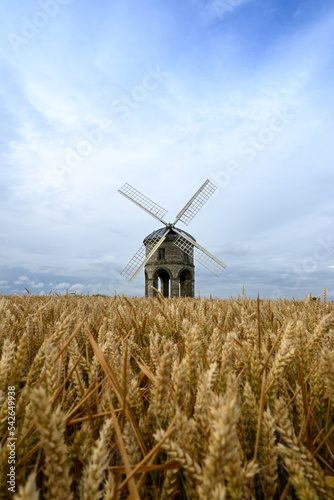 windmill in the field of wheat