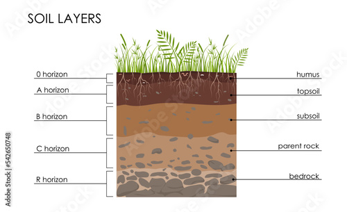 Soil layers diagram, scheme with grass, roots, stones, worms, humus, sand, stones. Geology Underground infographic. Land in the section. Mineral particles. Vector educational illustration