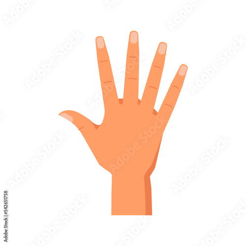 Raised fingers showing number five, isolated hand gesture enumeration or counting with help of arm. Nonverbal communication signs. Vector in flat style