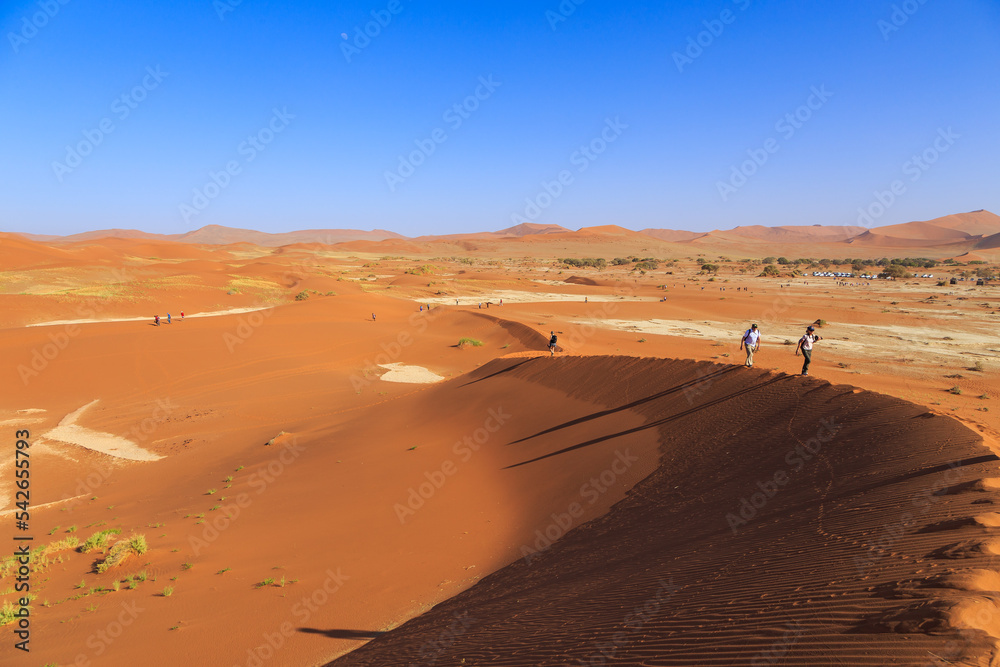 Amazing View from the dune to the salt pan of Sossusvlei, Namibia.